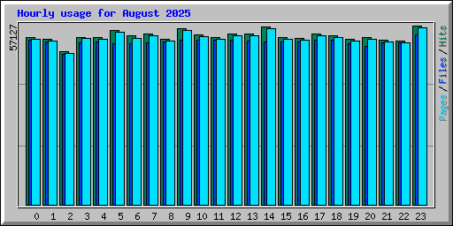 Hourly usage for August 2025