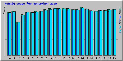 Hourly usage for September 2025