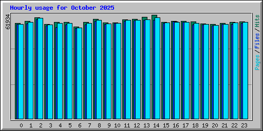 Hourly usage for October 2025