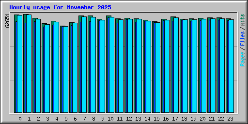 Hourly usage for November 2025