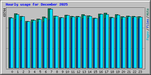 Hourly usage for December 2025