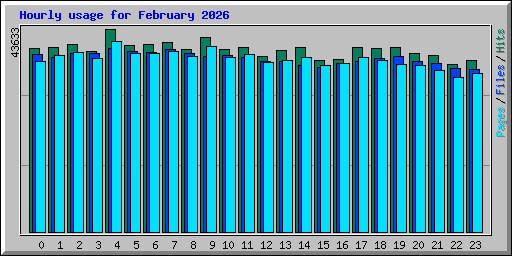 Hourly usage for February 2026
