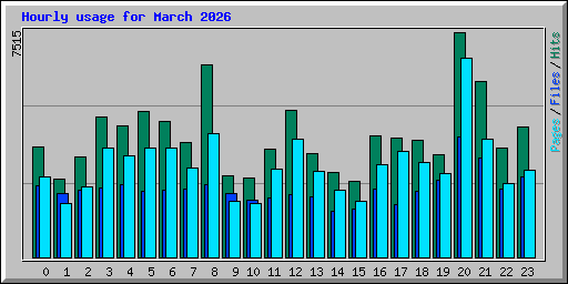 Hourly usage for March 2026