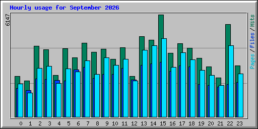 Hourly usage for September 2026