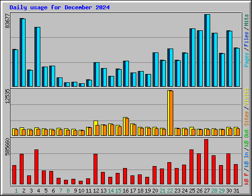 Daily usage for December 2024