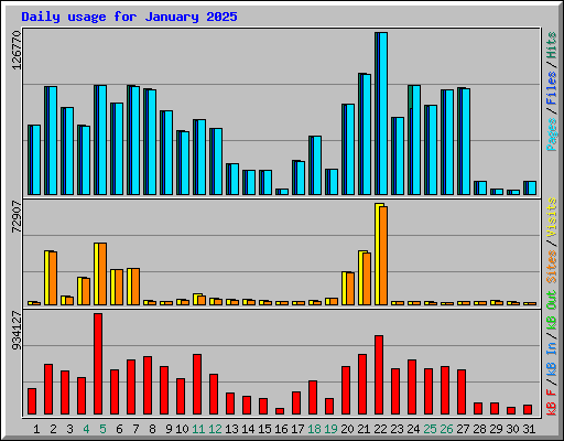 Daily usage for January 2025