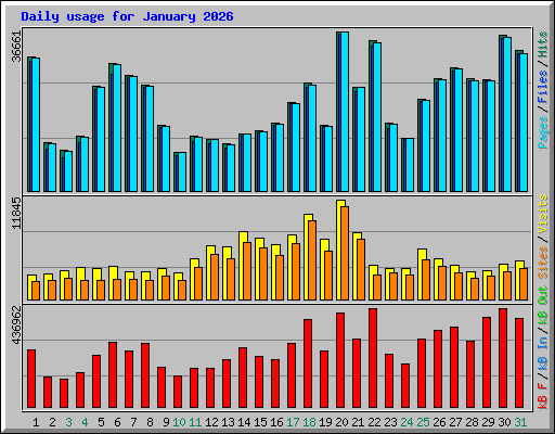 Daily usage for January 2026