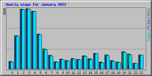 Hourly usage for January 2023