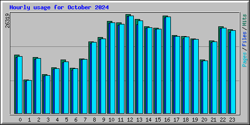 Hourly usage for October 2024