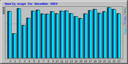 Hourly usage for December 2024