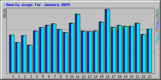 Hourly usage for January 2025