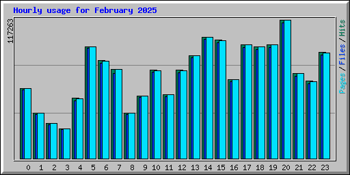 Hourly usage for February 2025