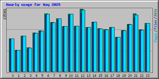 Hourly usage for May 2025