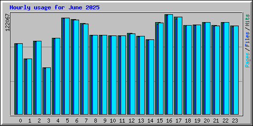 Hourly usage for June 2025