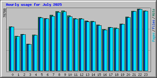 Hourly usage for July 2025