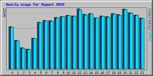 Hourly usage for August 2025