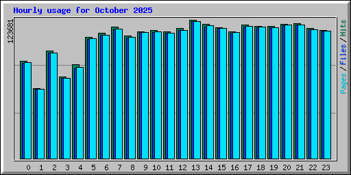 Hourly usage for October 2025