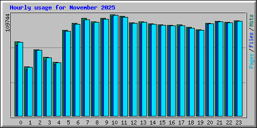 Hourly usage for November 2025
