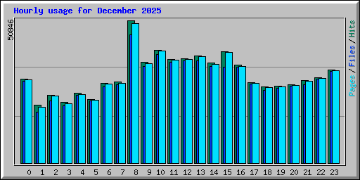 Hourly usage for December 2025