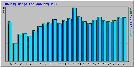Hourly usage for January 2026