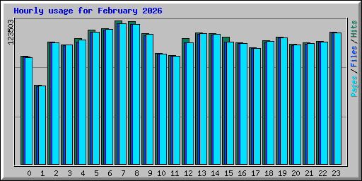 Hourly usage for February 2026