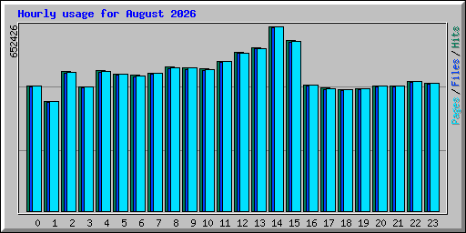 Hourly usage for August 2026